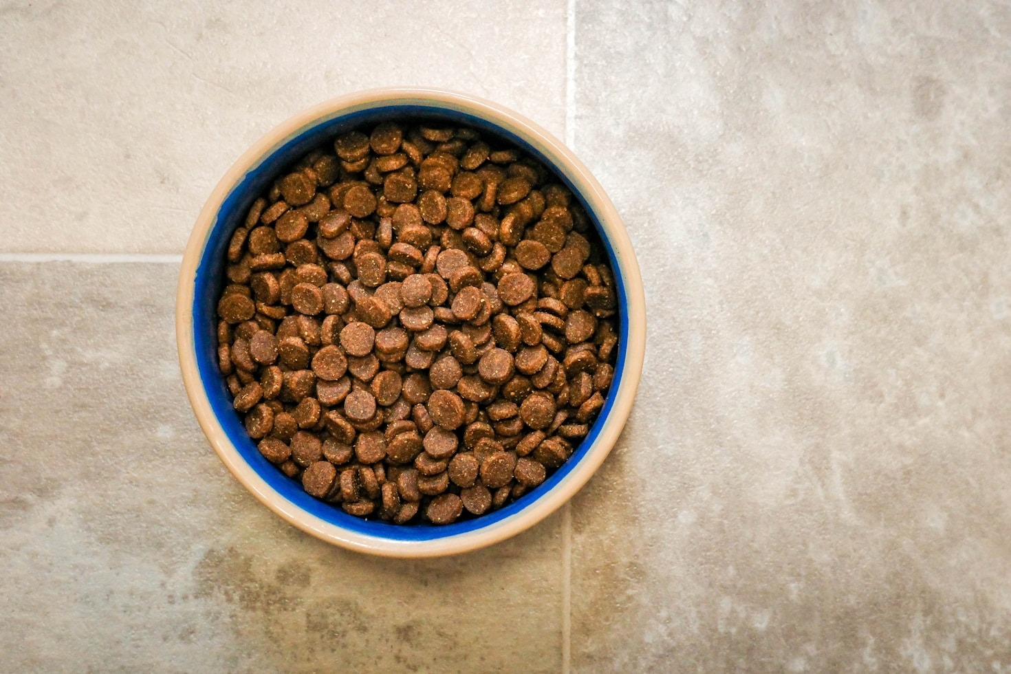 Navigating Grain Free Options For Sensitive Stomachs