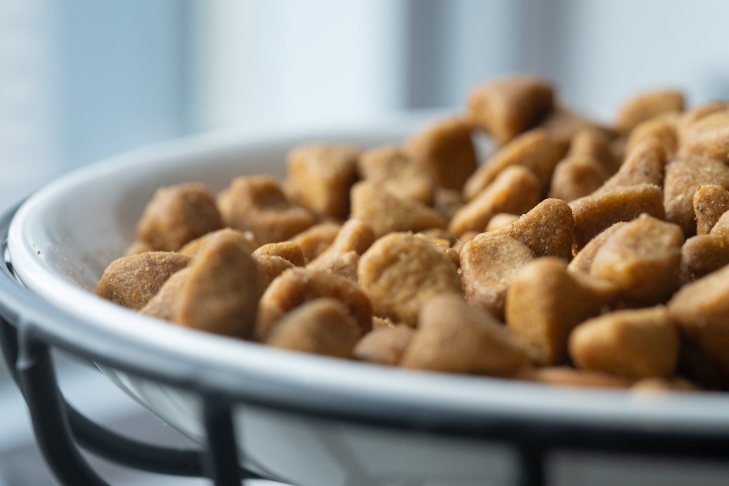 Essential Nutrients For A Shiny Healthy Coat